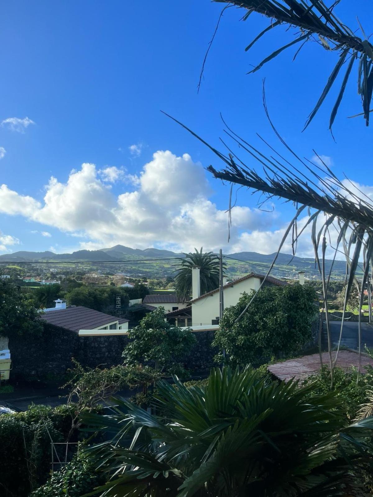 Casa Das Palmeiras São Vicente Ferreira Buitenkant foto