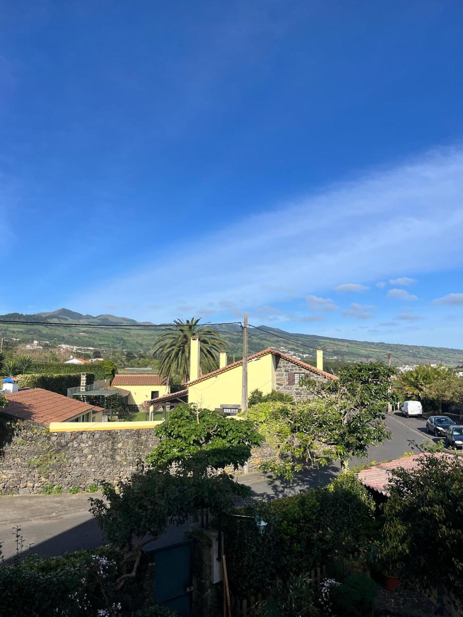 Casa Das Palmeiras São Vicente Ferreira Buitenkant foto